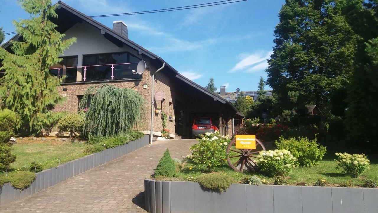 Ferienwohnung Virginija Ditscheid Экстерьер фото