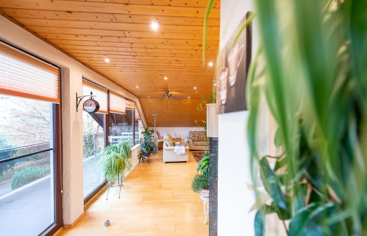 Ferienwohnung Virginija Ditscheid Экстерьер фото